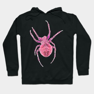 Pink Spider Orb-Weaver Watercolor Style Hoodie